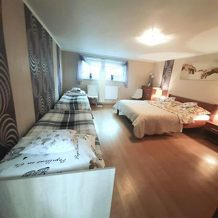 Apartament Przy Plazy Free Parking Apartment Złotów Екстериор снимка